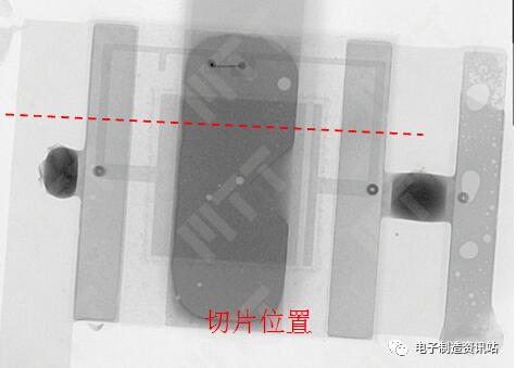 切片位置示意圖